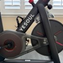 YESOUL Bike 팝니다 이미지