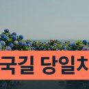 청산노을 | 태안 청산수목원 수국축제 당일치기 코스 정리법