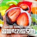 곱들락제주 | 제주과일모찌 곱들락 과일모찌 선물세트 포장 후기