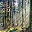 여름. 제주 이미지