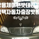 평택-W-010 네이버블로그