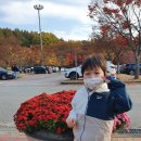 대청공원 놀이터 이미지