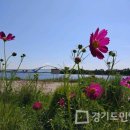 어울림오성