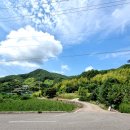 진등마을회관 이미지