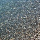 장지마을앞 이미지