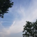 러쉬아이에프씨몰점 | 여의도콘래드호텔 솔직한 내돈내산 호캉스 리뷰