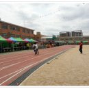 홍성초등학교 이미지