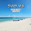 팜오션 | 필리핀 보홀 사우스팜 리조트 구 오셔니카 고급스러운 오션뷰 숙소 후기 ♥