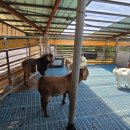 강청리농장 이미지