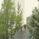 10스퀘어남산 | 10텐스퀘어 남산 카페 게이샤 라떼 내돈내산 후기