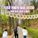 노적봉 도당지 | 안산 노적봉 등산 코스: 폭포공원부터 벚꽃 산책길까지 가족 나들이 후기