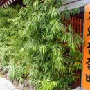 기와집숯불고기 이미지