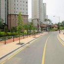 양지로·양지남로 이미지