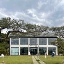 태인 애견 이미지