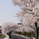 은대공원 이미지