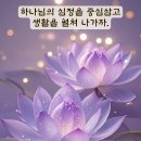 이촌2동주민센터 이미지