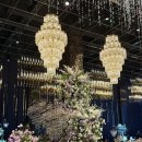 홈플러스(주)동촌점 | 대구 노비아갈라 동촌점 시그니아홀 하객 후기 ( •̀ .̫ •́ )✧