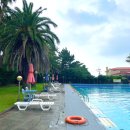 마이테르수영장 | 제주 야외 마이테르수영장. 수영장 이용 정보 및 부대시설, 솔직 후기까지