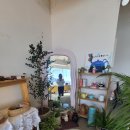 주전자 | 통영 바다뷰 카페 나나의주전자 브런치 내돈내산 후기