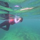 포할리데이 이미지