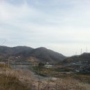 꼴짝농장 네이버블로그
