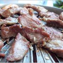 돼지한마리 이미지