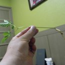 회초밥일번지 이미지