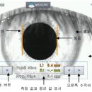 최선생안경 네이버블로그