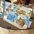 Bubble line | [Bubble in the Forest Cafe] 태국방콕 근교 핫플 카페 인생샷 버블인더포레스트 / 예약없이 방문 후기