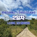 나도 산티아고 순례길 걸어볼까!