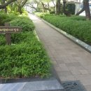 명동보쌈갈비 이미지