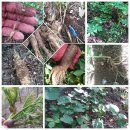 수만농장 이미지