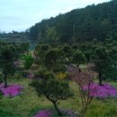 삼신농장 이미지