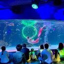 아쿠아플라넷63 이미지