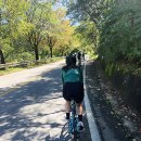 퇴촌남종통합보건지소 이미지