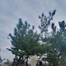 빽다방 강원양양점 이미지