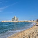 터미널14번길 이미지