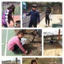 대관초등학교 이미지