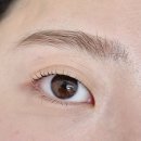 채니 - 용산구 한남대로28가길 23 | 일산 속눈썹펌 채니래쉬 무쌍 속눈썹펌+틴팅 후기