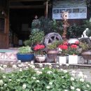 사려니 팬션 이미지