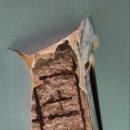 테크노공단공인중개사사무소 이미지