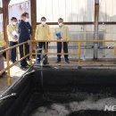 도성축산 이미지