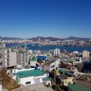 도개분식
