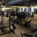 피트니스해라 이미지