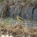 LPG충전소 앞 이미지