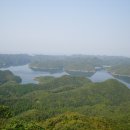 주)조이트래블여행사 이미지