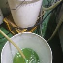 유성카맨샵 이미지