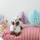 아모르디 이미지