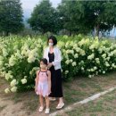 진흥카써비스 | 하동 관광지 추천 : 관광택시로 하동 명소 한 번에 즐기는 법