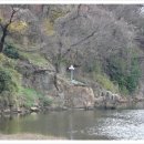 벼랑소랑 이미지